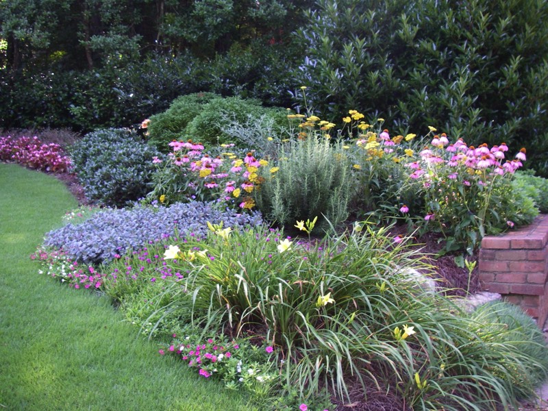 front yard perennials